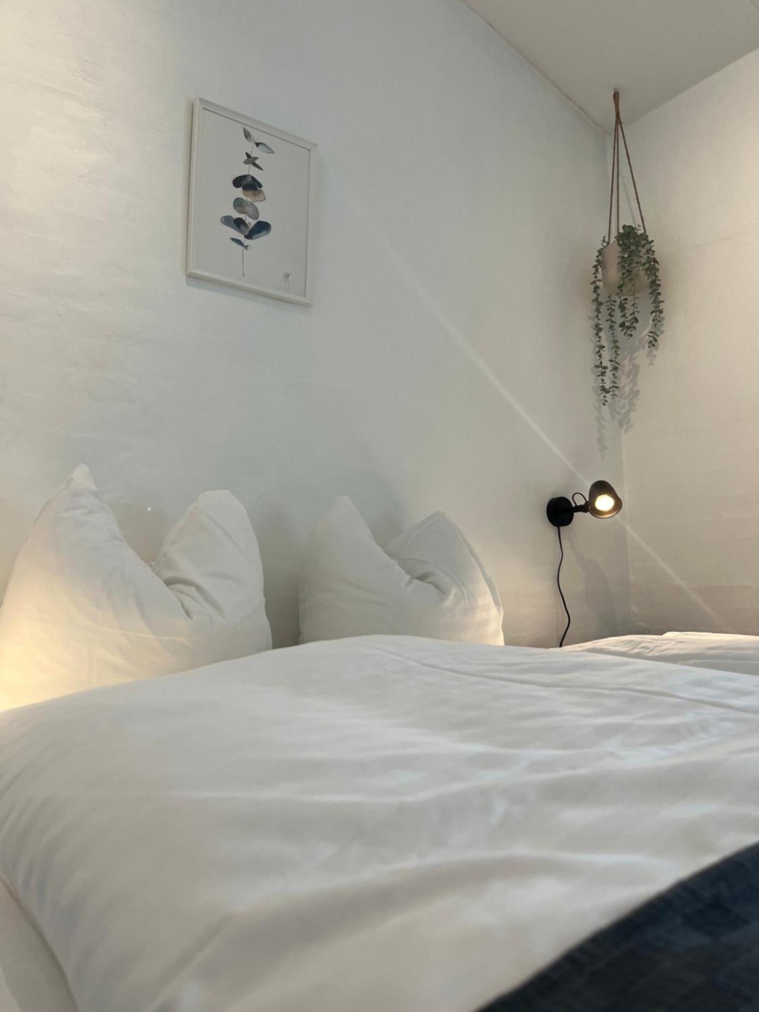 Hartel House Daire Ollerup Dış mekan fotoğraf